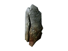 Большой щит гирмов