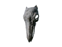 Костяной щит (Dark Souls II)