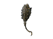 Щит черного дракона