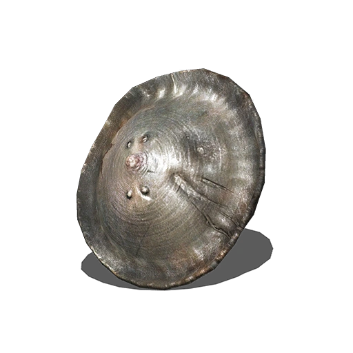 Кожаный щит (Dark Souls III)