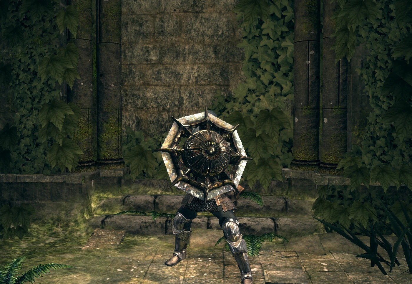 Щит с кристальным кольцом.jpg