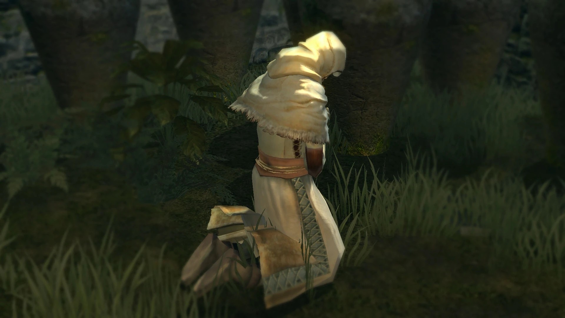 В Храме Огня.