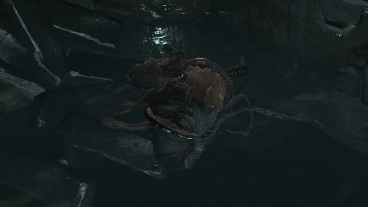 Труп Серокрыса без пепла в канализации Иритилла.