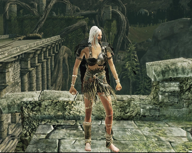 Red Lion Warrior Cape..png