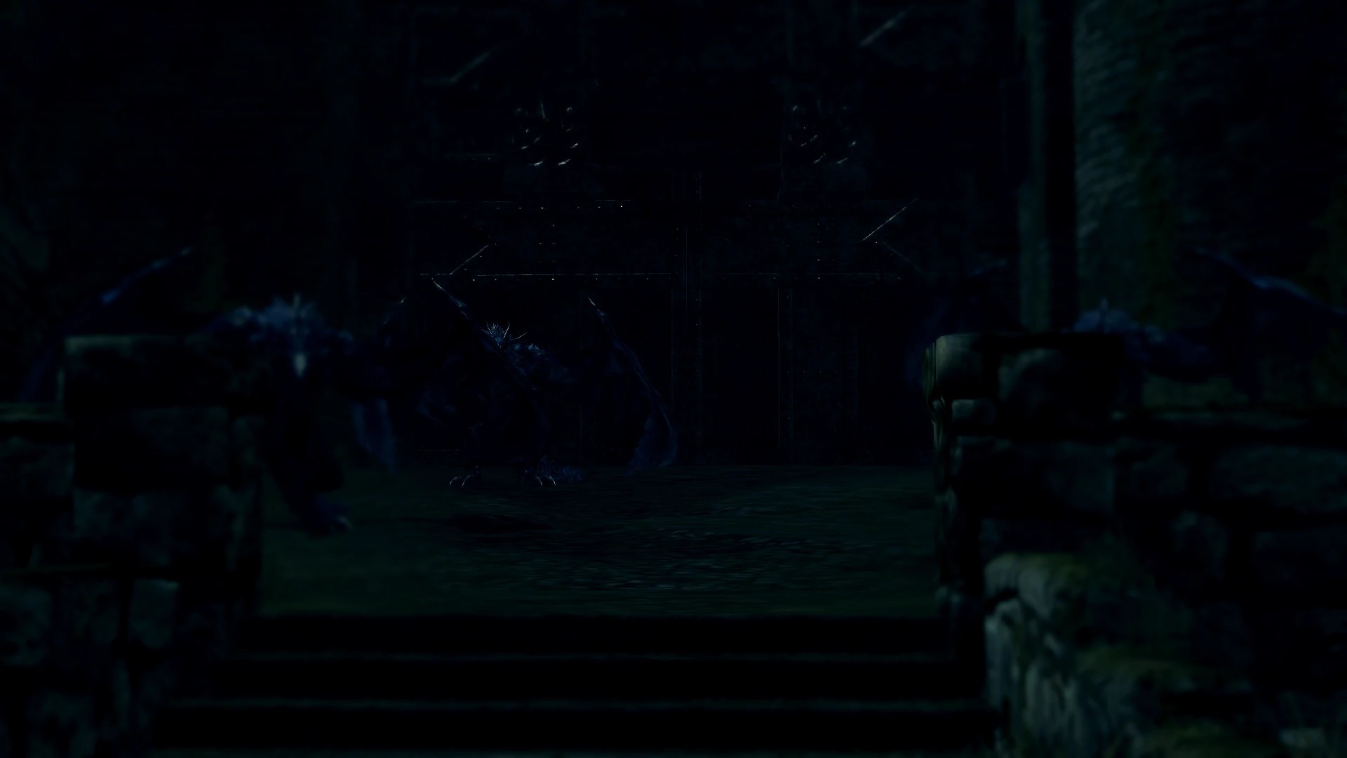 Скопление виверн.