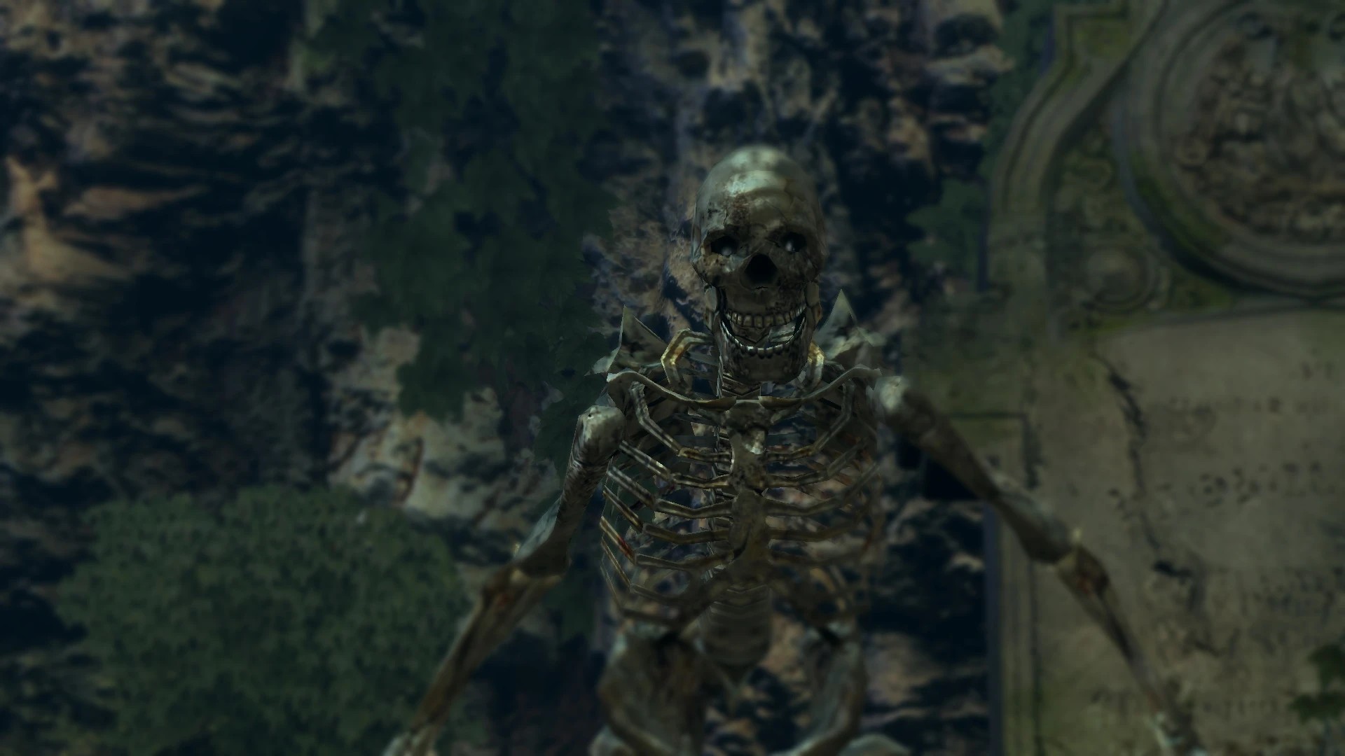 Лицо скелета-великана.