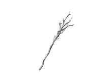 Ветка ведьминого дерева