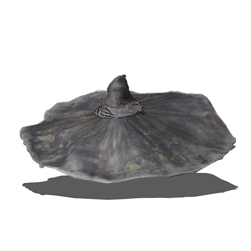 Большая шляпа мудреца