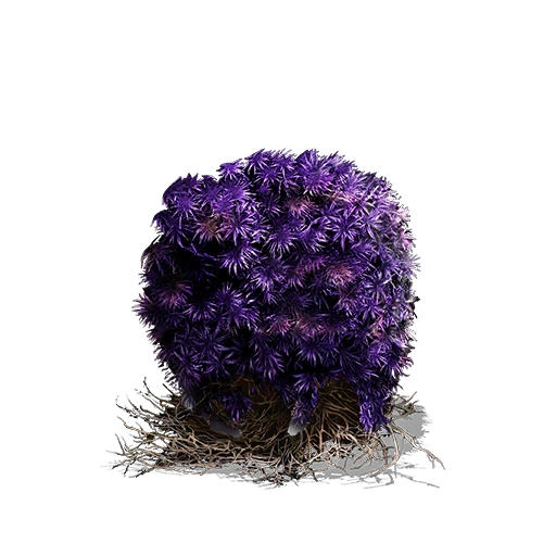 Комок пурпурного мха (Dark Souls III)