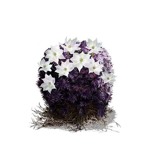 Комок цветущ. пурпурного мха (Dark Souls III)