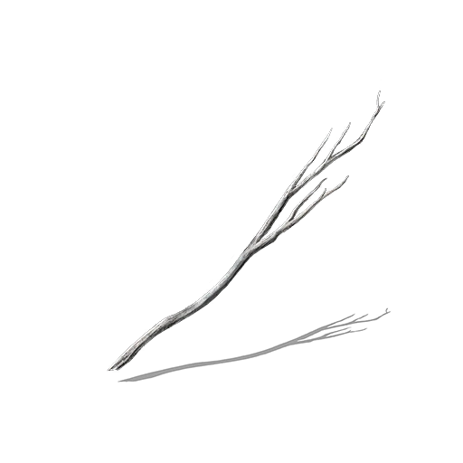 Молодая белая ветвь (Dark Souls III)