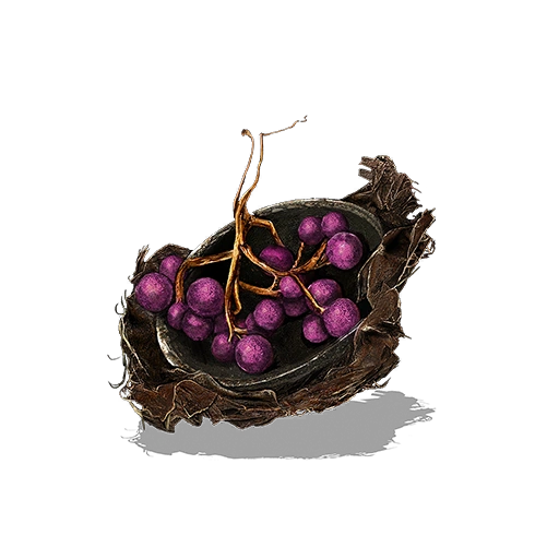 Моховая ягода