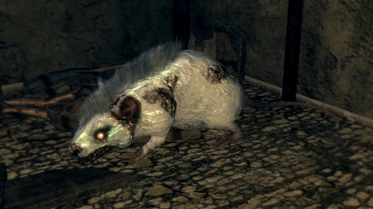 Снежная крыса