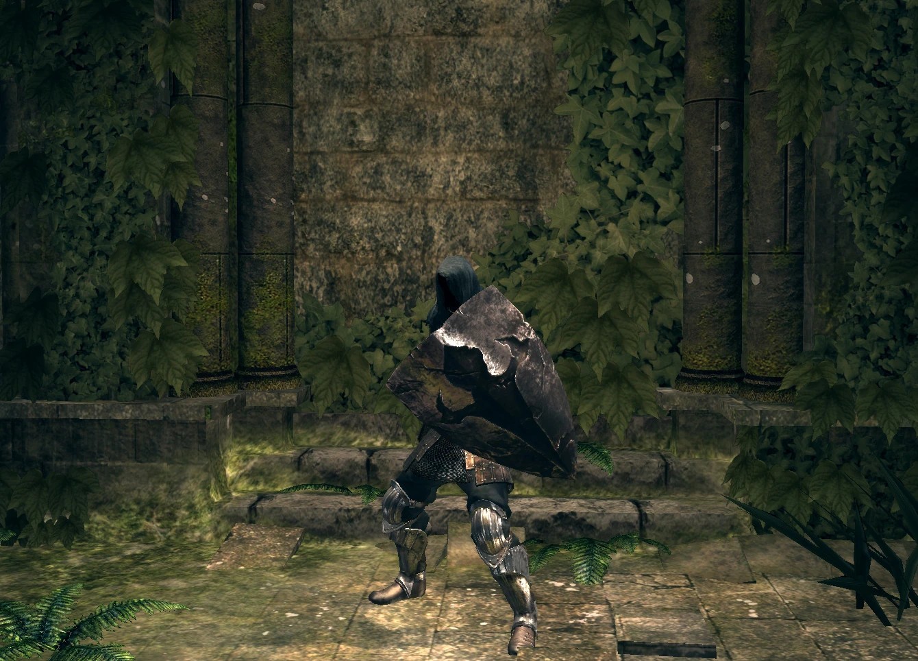 Темный щит.jpg