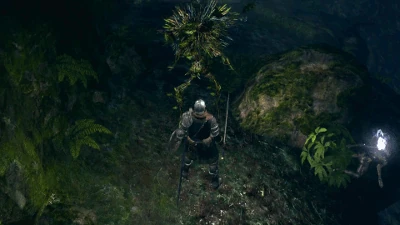 Захват Энта.